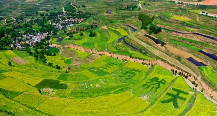 實干篤行勇?lián)?善作善成開新局——甘肅金控融資擔保集團股份有限公司成立五周年發(fā)展紀實